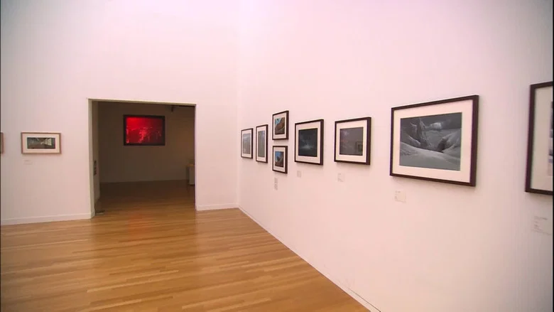 A Ghibli Artisan - Kazuo Oga Exhibition - The One Who Drew Totoro's Forest screenshot 3