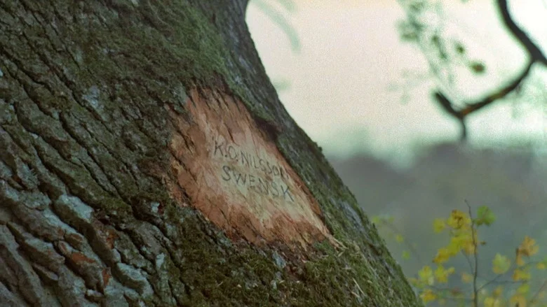 The Emigrants screenshot 4