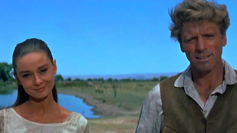 The Unforgiven screenshot 5