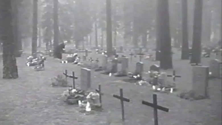 Why Must We Die? screenshot 1
