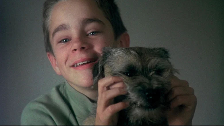 My Life as a Dog screenshot 2