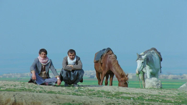 The Road screenshot 1
