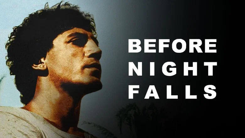 Before Night Falls screenshot 5