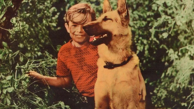 A Dog's Best Friend screenshot 1