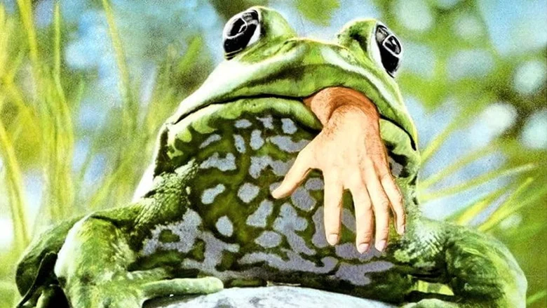 Frogs screenshot 2