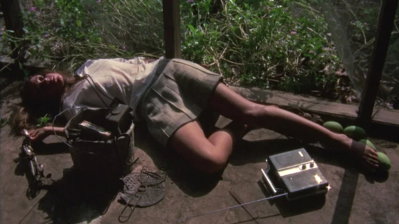 Walkabout screenshot 3