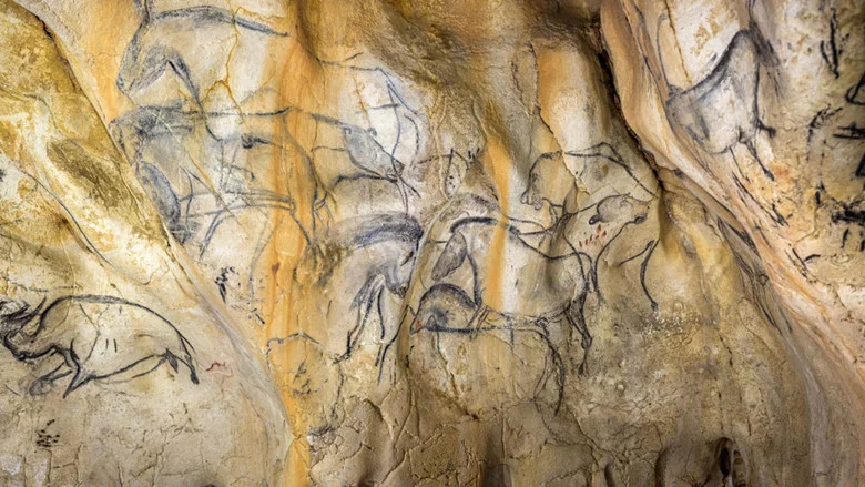Grotte Chauvet - Dans les pas des artistes de la Préhistoire screenshot 7