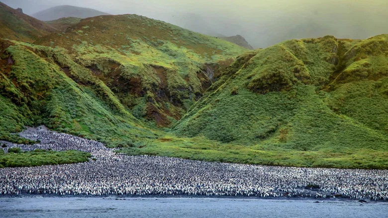 Antarctica: The Frozen Time screenshot 3