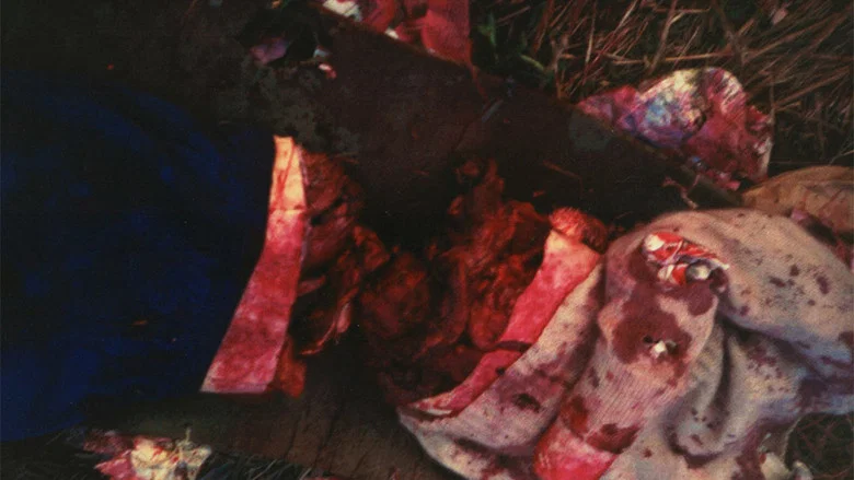 Das Wiener Kettensägenmassaker screenshot 1