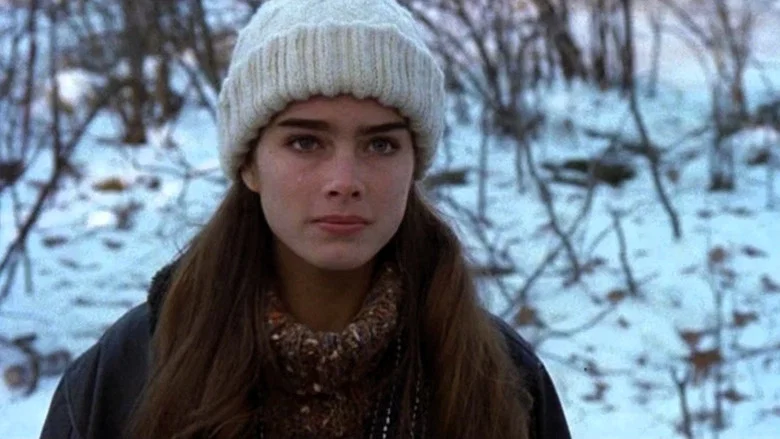 Endless Love screenshot 8