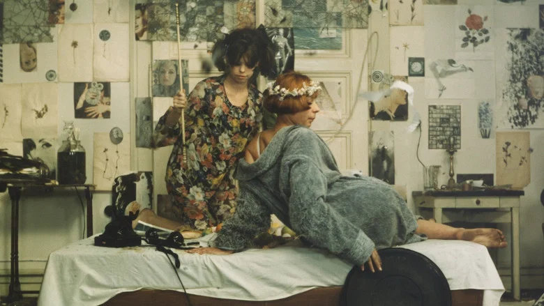 Daisies screenshot 6