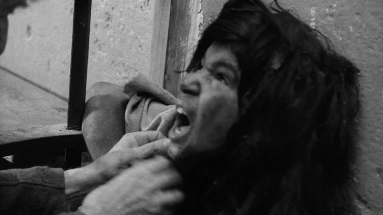The Wild Child screenshot 3