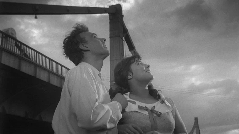 The Cranes Are Flying screenshot 1