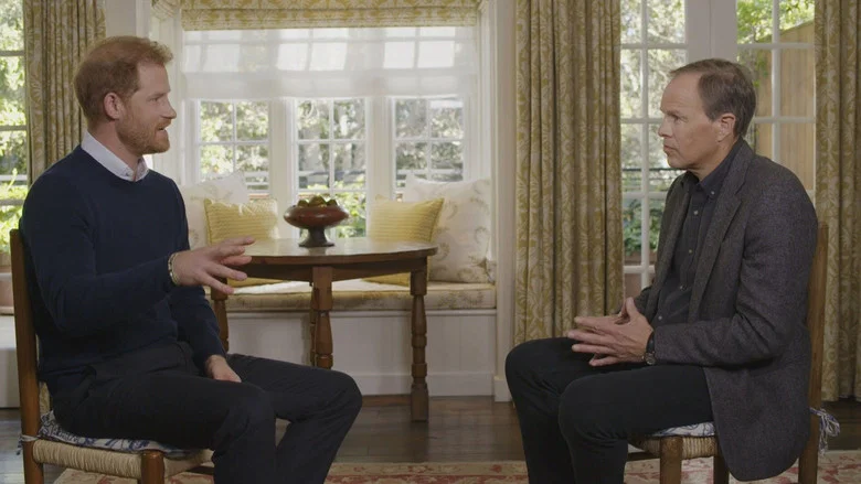 Harry: The Interview screenshot 4