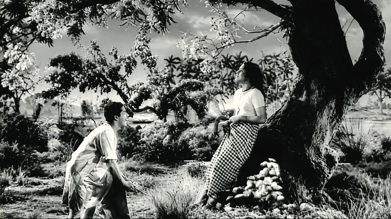 Neelakuyil screenshot 1