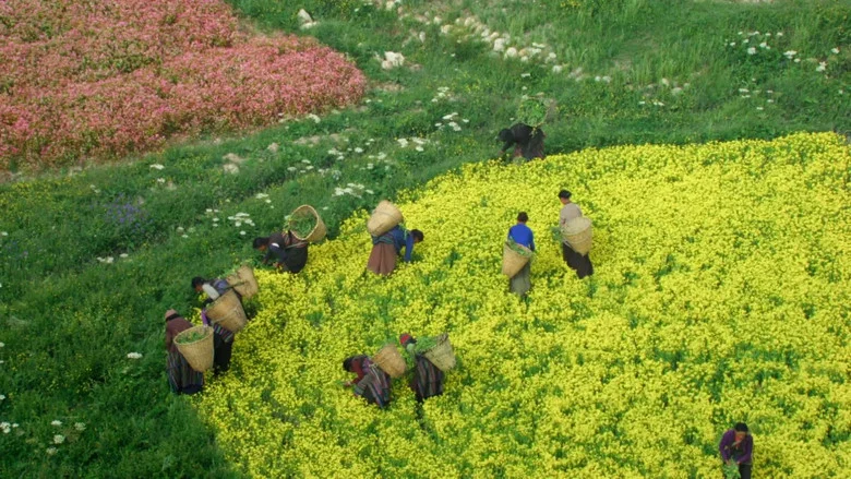 Nature: The Call for Reconciliation screenshot 4
