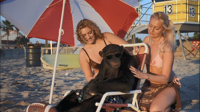 Funky Monkey screenshot 4
