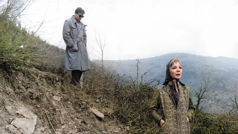 The Stranger in Town screenshot 1