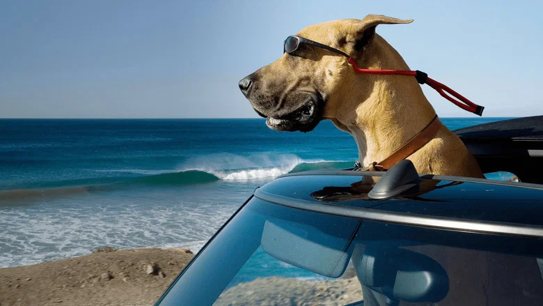 Marmaduke screenshot 2