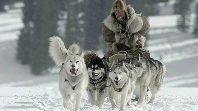 The Great Alaskan Race screenshot 1