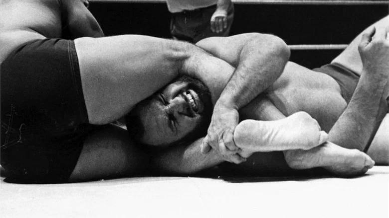 Wrestling screenshot 1