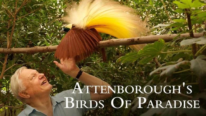 Attenborough's Paradise Birds screenshot 2