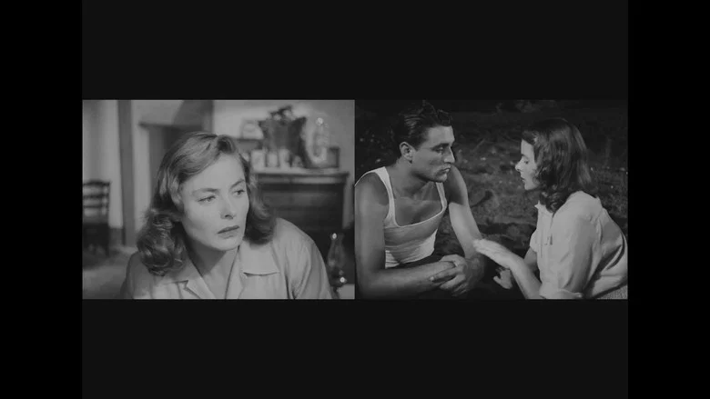Two Bergmans screenshot 2