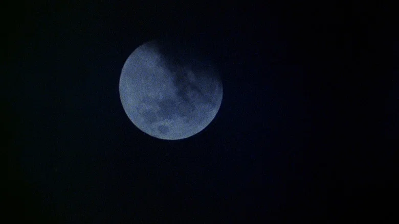 An American Werewolf in London screenshot 8
