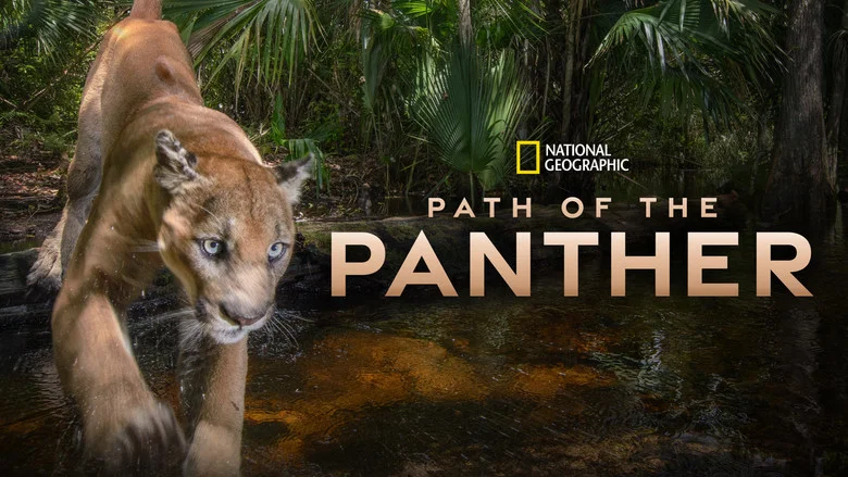 Path of the Panther screenshot 6