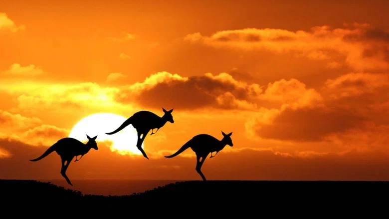 Australia: Land Beyond Time screenshot 1