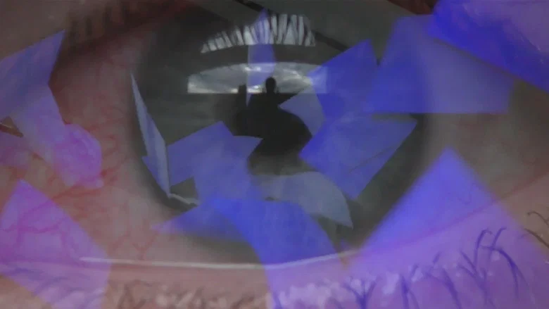 PLEH screenshot 1