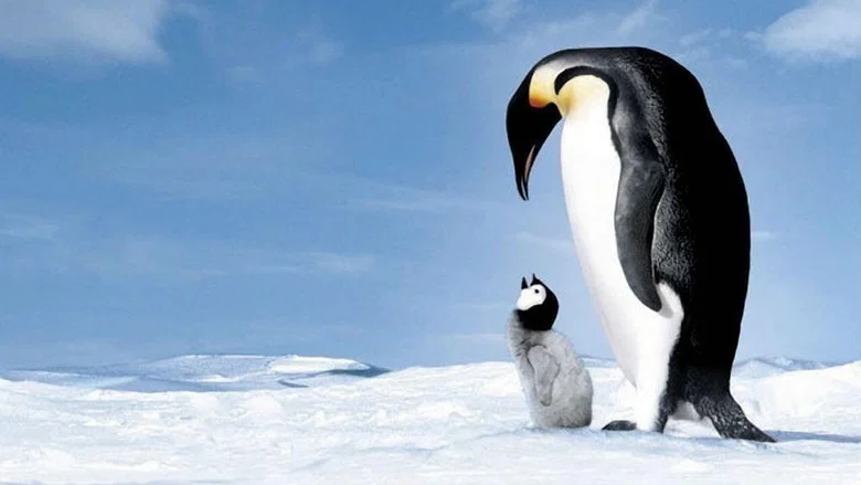 March of the Penguins screenshot 3