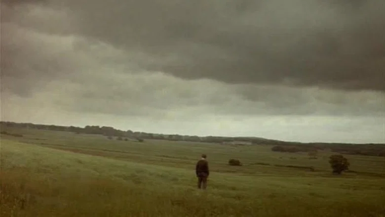 Mother and Son screenshot 1