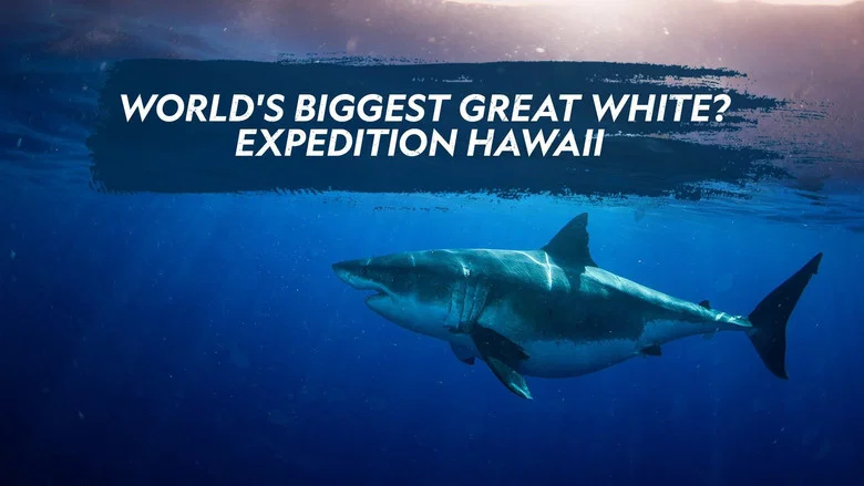 World's Biggest Great White? screenshot 3