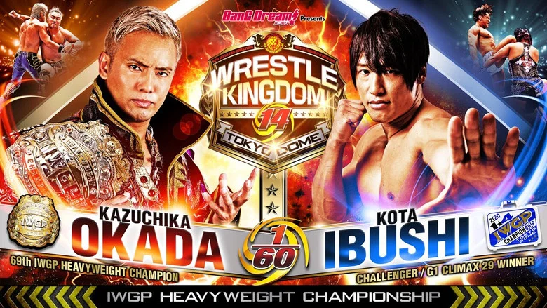 NJPW Wrestle Kingdom 14: Night 1 screenshot 3
