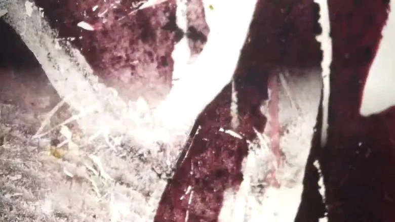 Transcending screenshot 1
