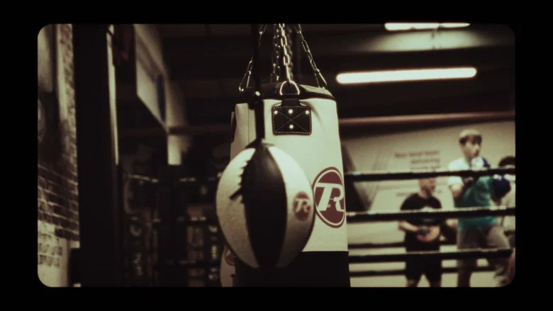 The Noble Art of Boxing screenshot 1