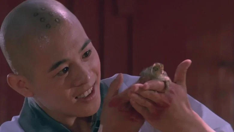 Martial Arts of Shaolin screenshot 3