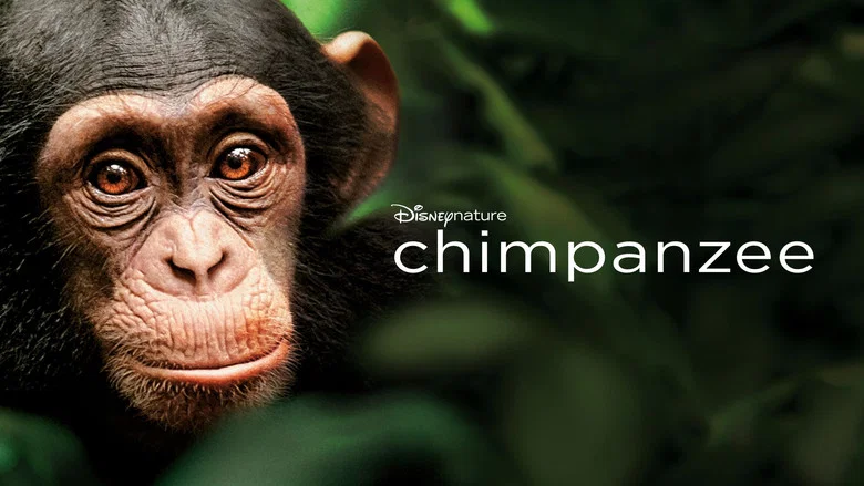 Chimpanzee screenshot 2