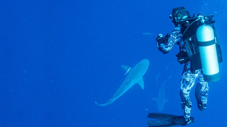 World's Biggest Bull Shark? screenshot 3
