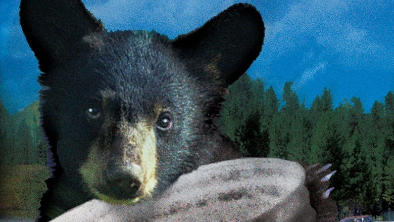Yellowstone Cubs screenshot 6