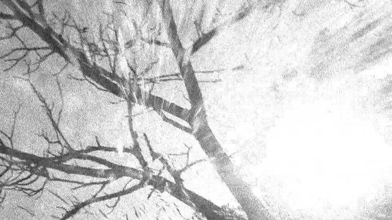 Spectral Ascension screenshot 1