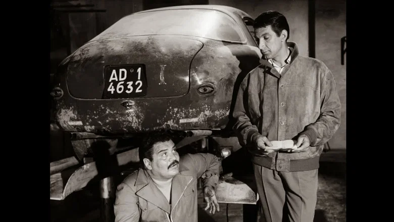Hit and Run screenshot 1