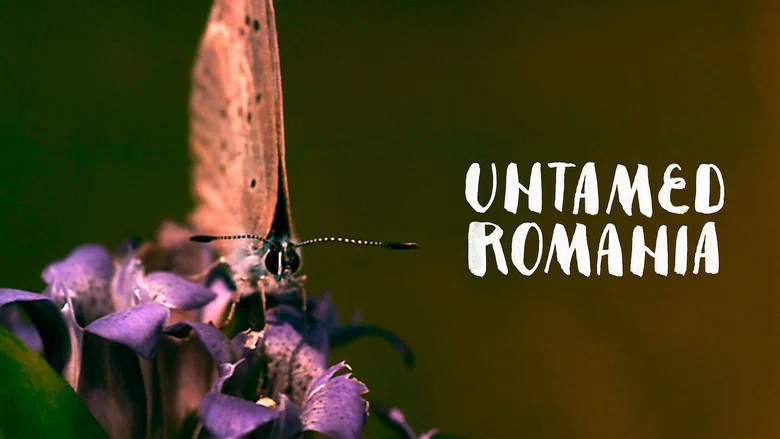Untamed Romania screenshot 7