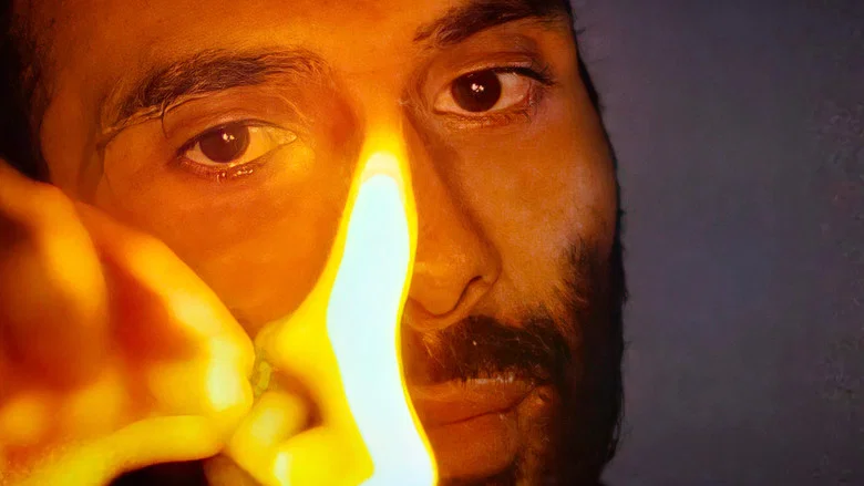 Mustapha El Atrassi - La Vie Est Folle screenshot 1