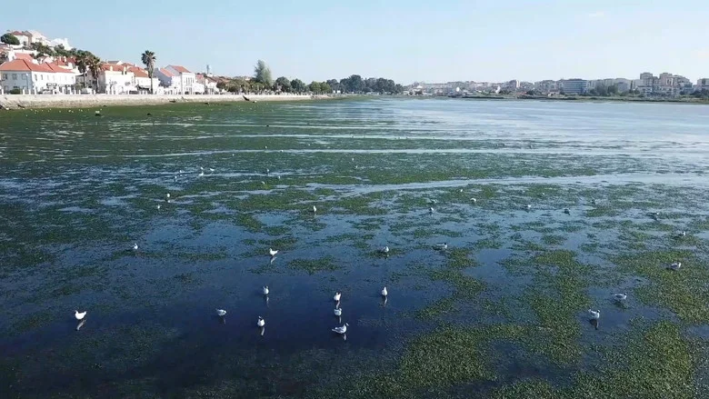 Mar Urbano Lisboa screenshot 2