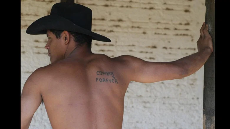 Cowboy Forever screenshot 2