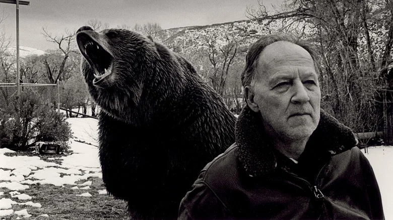 Grizzly Man screenshot 2