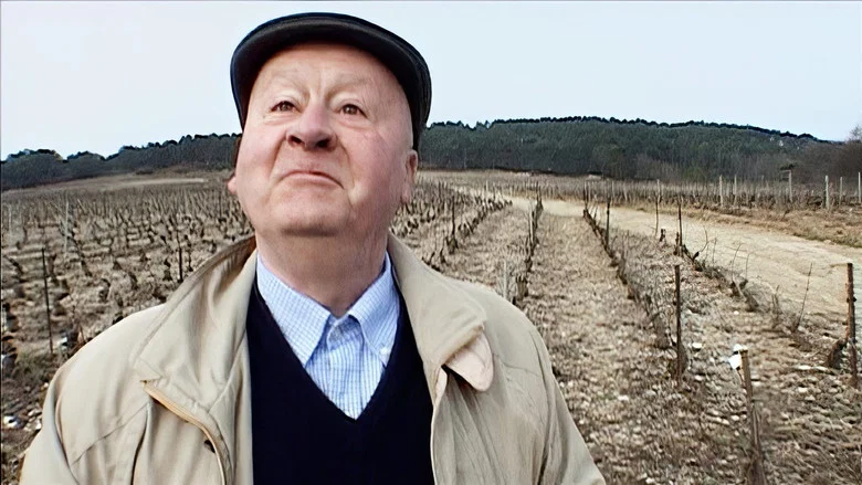 Mondovino screenshot 1
