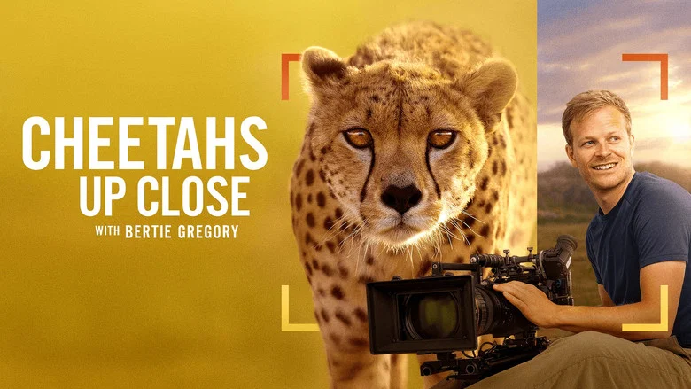 Cheetahs Up Close with Bertie Gregory screenshot 1